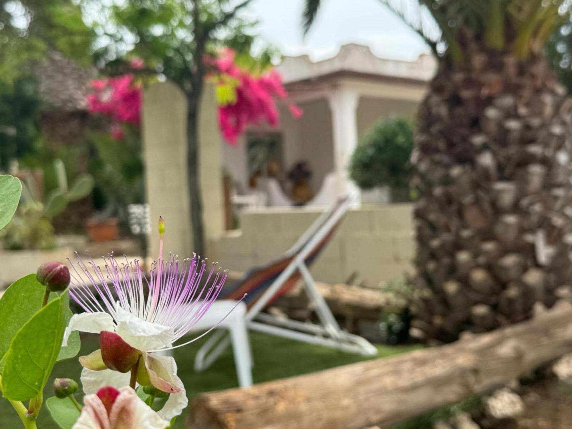 Villa Torretta - Mare Salento Marina di Lizzano Exterior foto