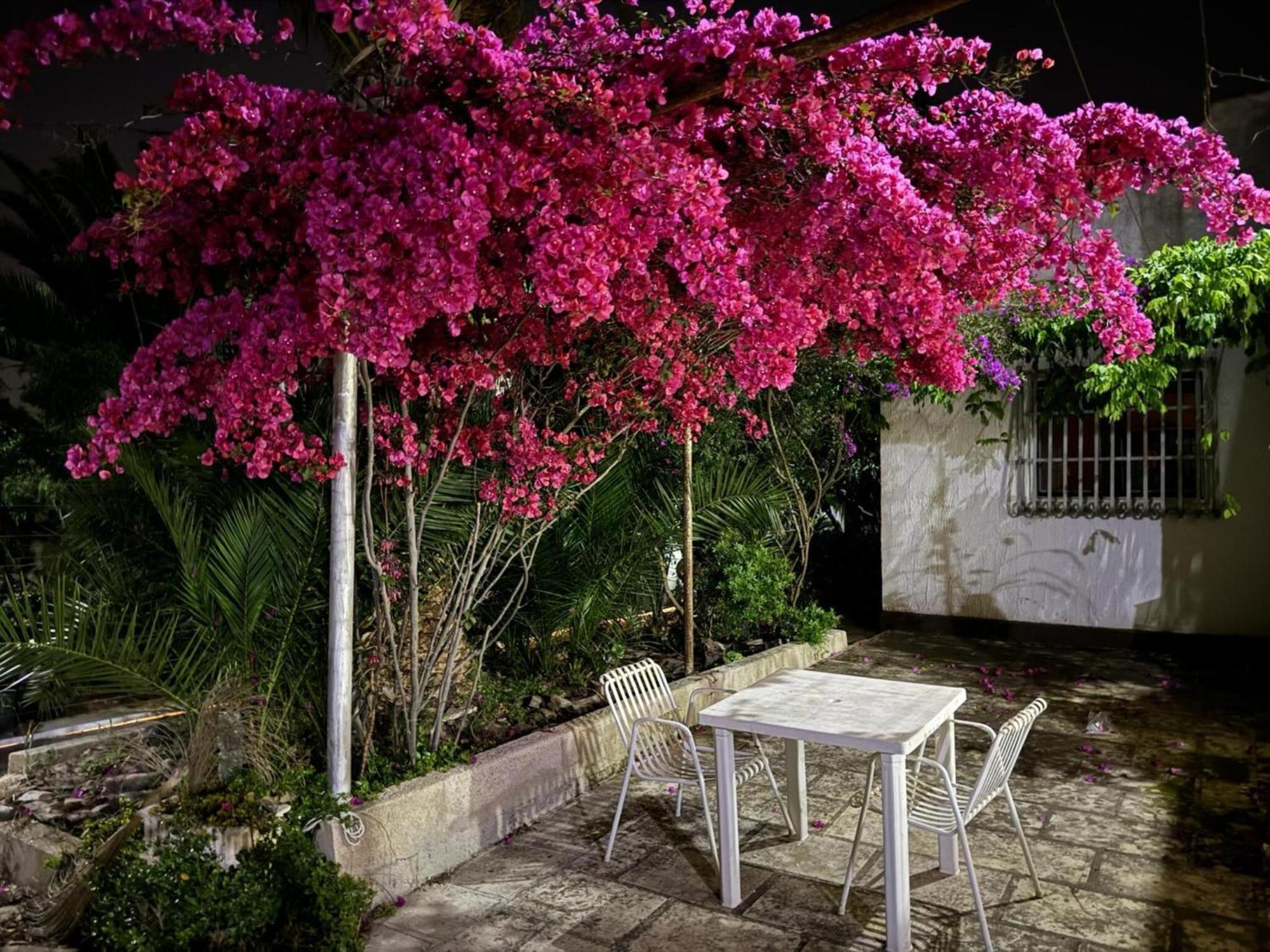 Villa Torretta - Mare Salento Marina di Lizzano Exterior foto